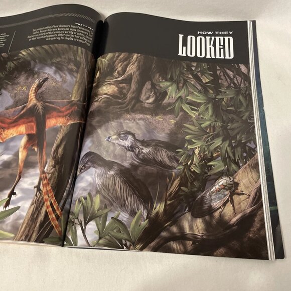 National Geographic October 2020 Reimagining Dinosaurs Tragedy of Human Traffick - Picture 7 of 10